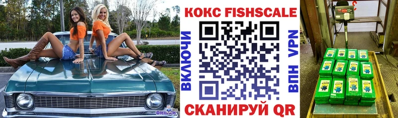Купить закладки Грозный Кокаин Fish Scale