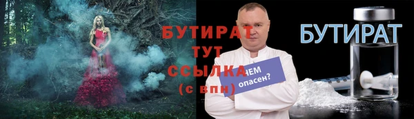 гидра Краснослободск