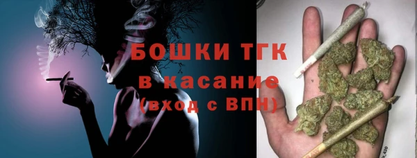 гидра Краснослободск