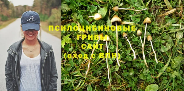 гидра Краснослободск