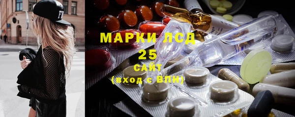 гидра Краснослободск