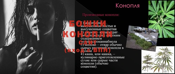 гидра Краснослободск