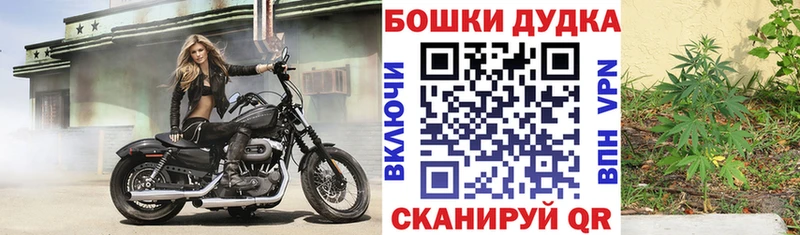 Купить где  Грозный  Бошки марихуана планчик 